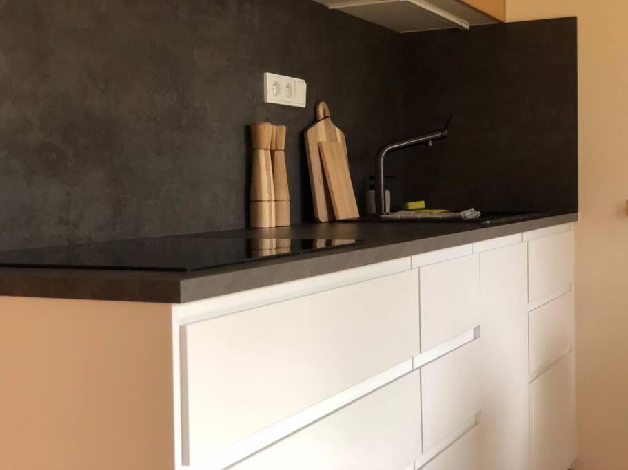 Apartman Boruvka Železná Ruda Dış mekan fotoğraf