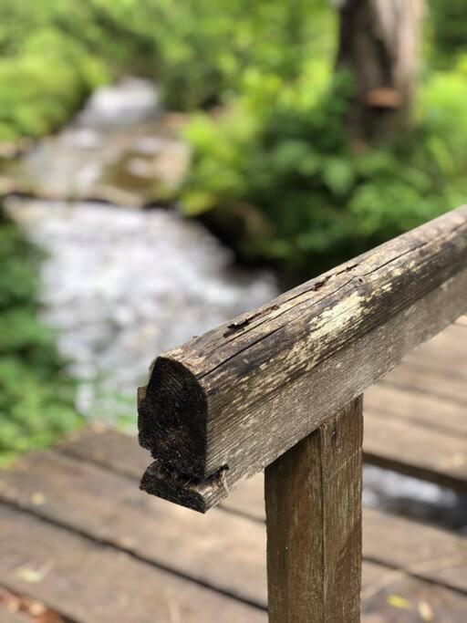 Apartman Boruvka Železná Ruda Dış mekan fotoğraf
