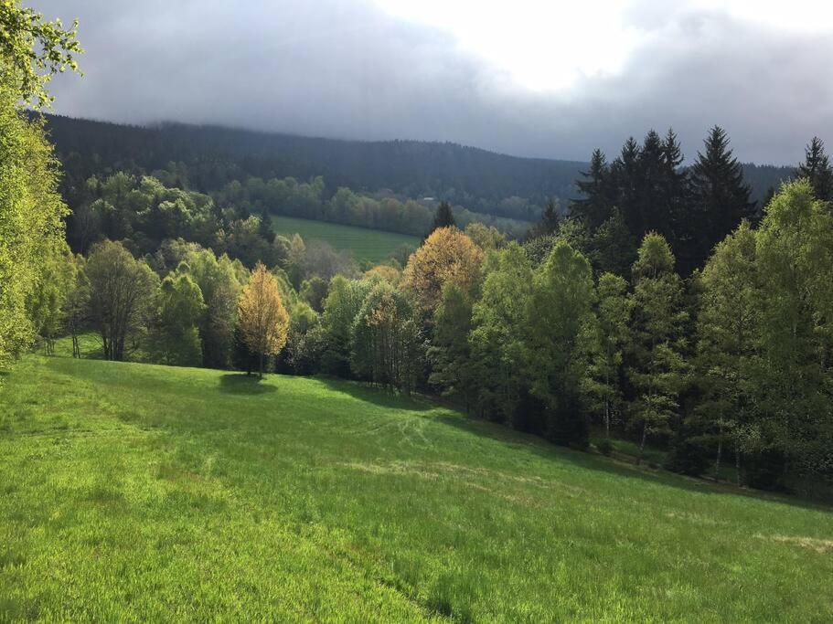 Apartman Boruvka Železná Ruda Dış mekan fotoğraf