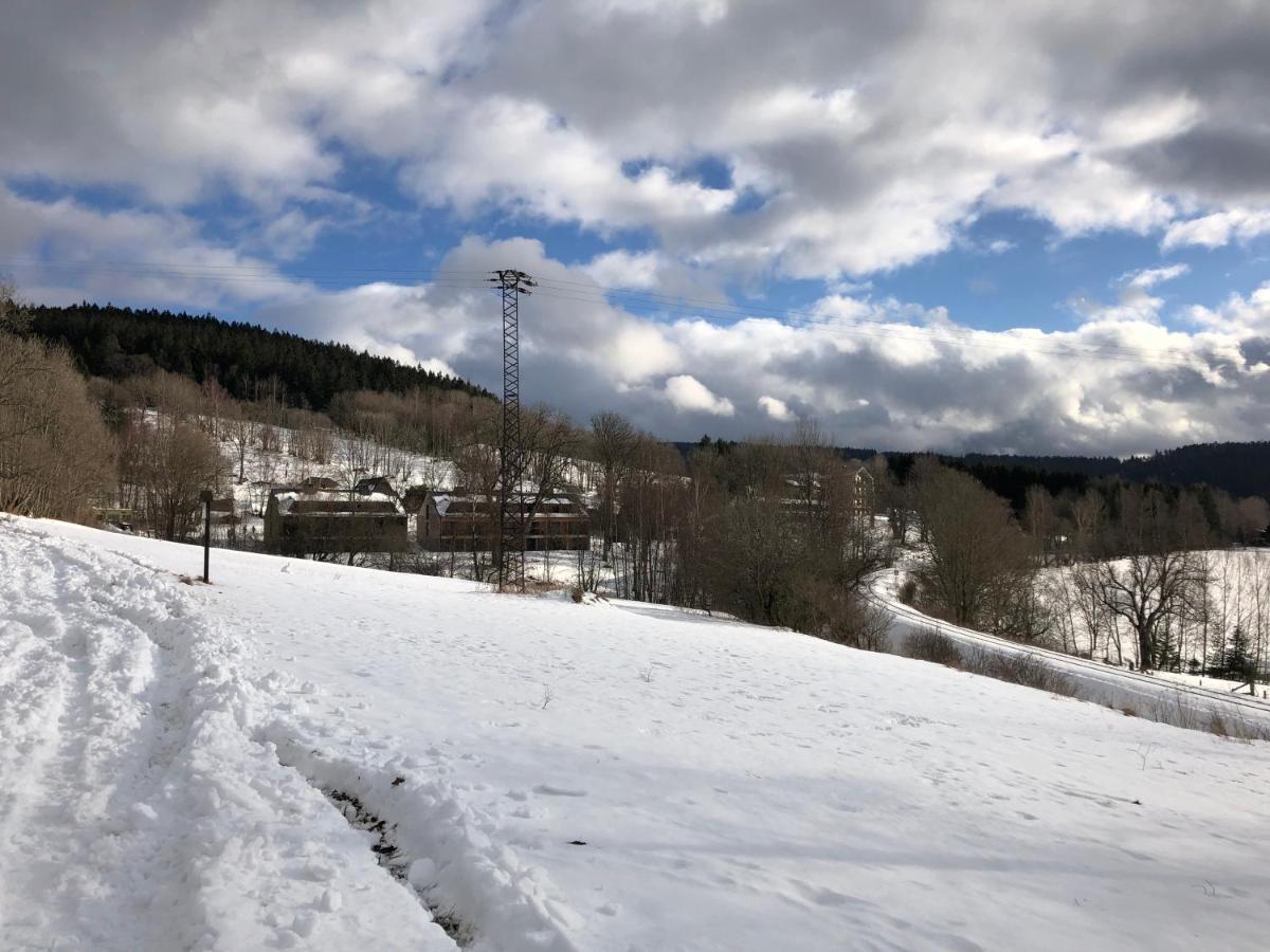 Apartman Boruvka Železná Ruda Dış mekan fotoğraf