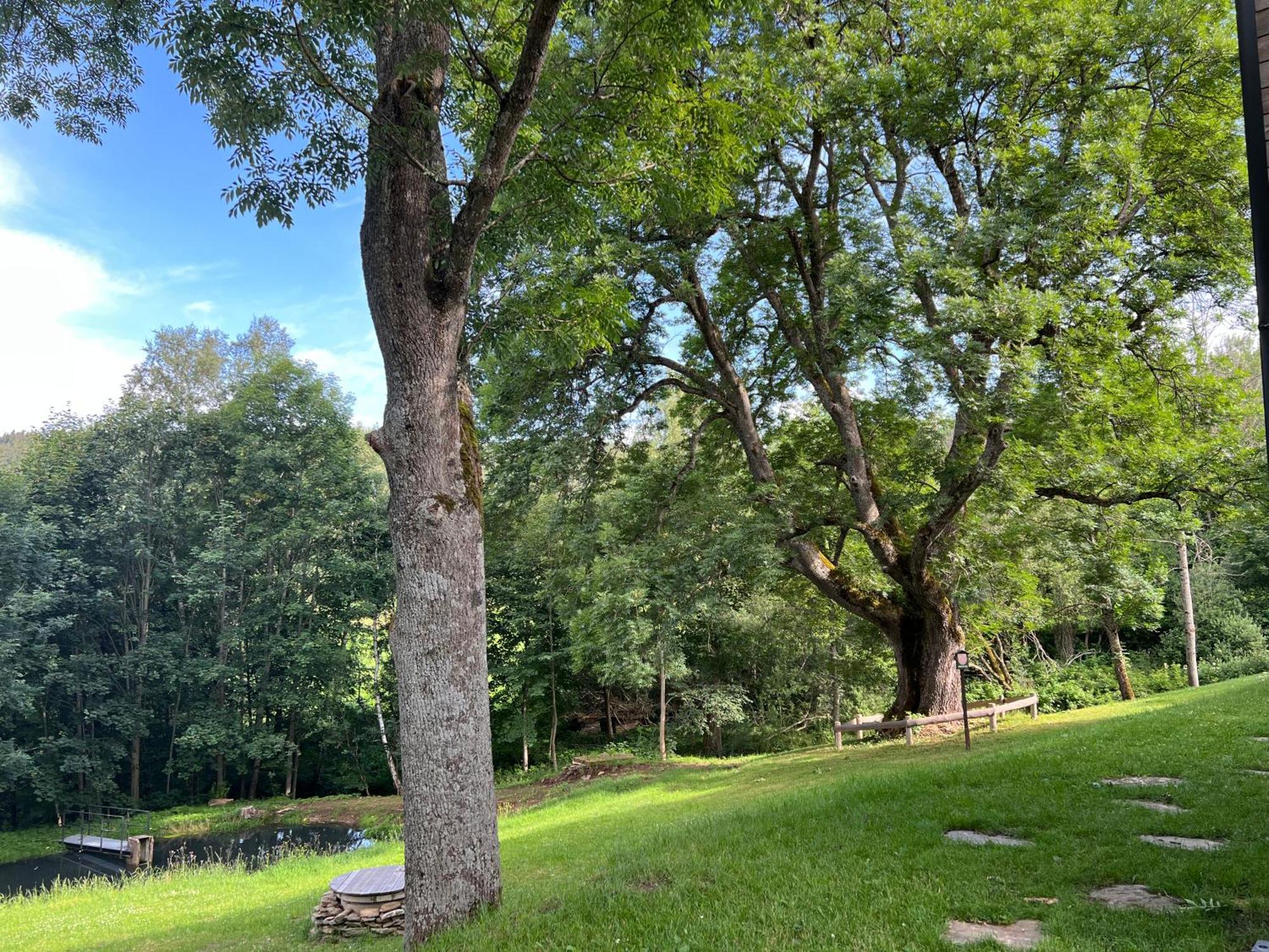 Apartman Boruvka Železná Ruda Dış mekan fotoğraf