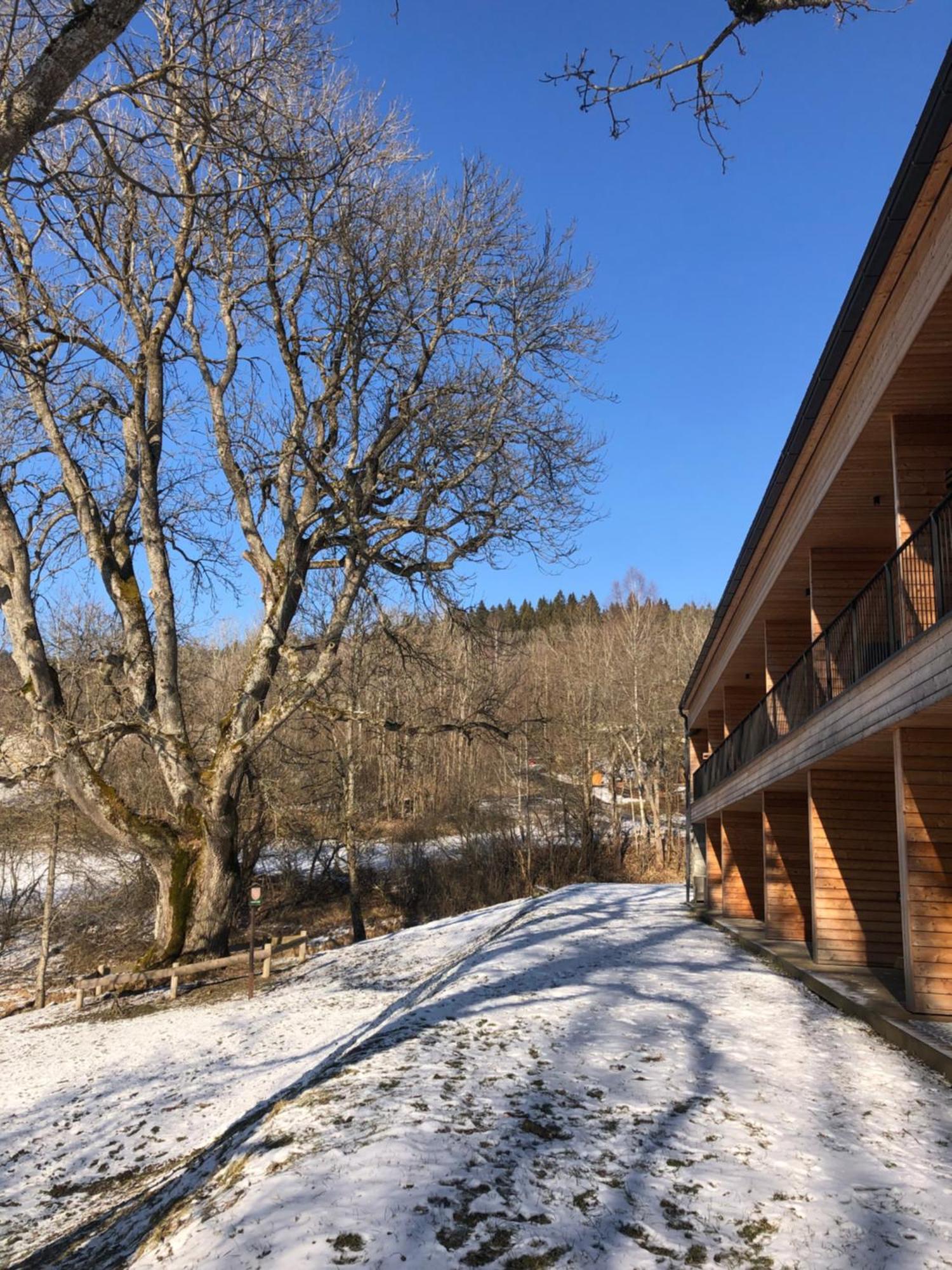 Apartman Boruvka Železná Ruda Dış mekan fotoğraf